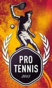   :   2013 (Pro Tennis 2013)