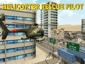   :    3D (Helicopter rescue pilot 3D)