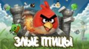   : Angry Birds v1.3 (rus)