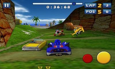       (Sonic & SEGA All-Stars Racing)