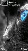   : Grey Cat Blue Eye